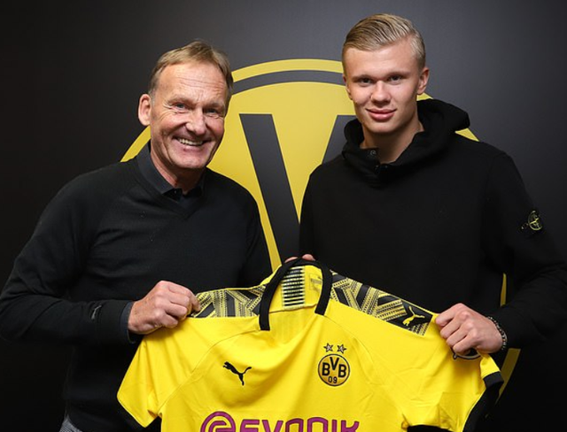 侧翼填位者 侧翼填位者