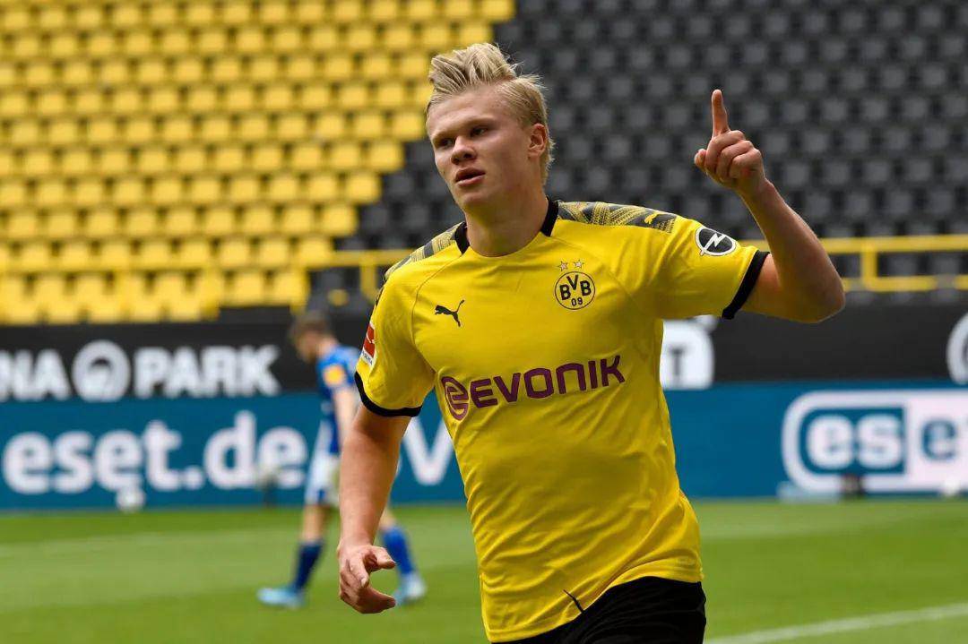 皇社左路的 皇社左路的